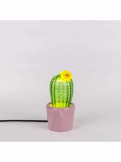 Seletti Cactus Sunrise lampada a led con regolazione di intensità in vetro soffiato raffigirante un cactus in un vaso in porcellana rosa accesa