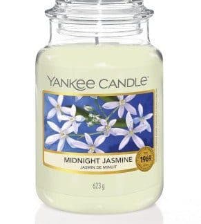 giara grande yankee candle fragranza Midnight Jasmine